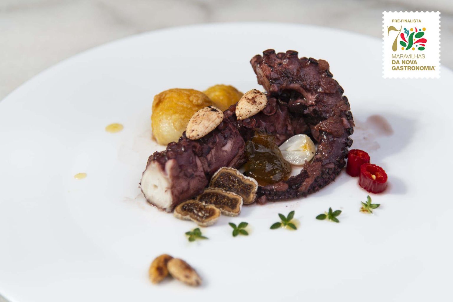 “Rabo de Polvo das Bruxas” do restaurante Bem Bô em Mirandela vence Sete Maravilhas da Nova Gastronomia