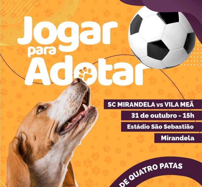 Jogadores do SC Mirandela em campanha de adopção de animais abandonados promovida pela ADAN