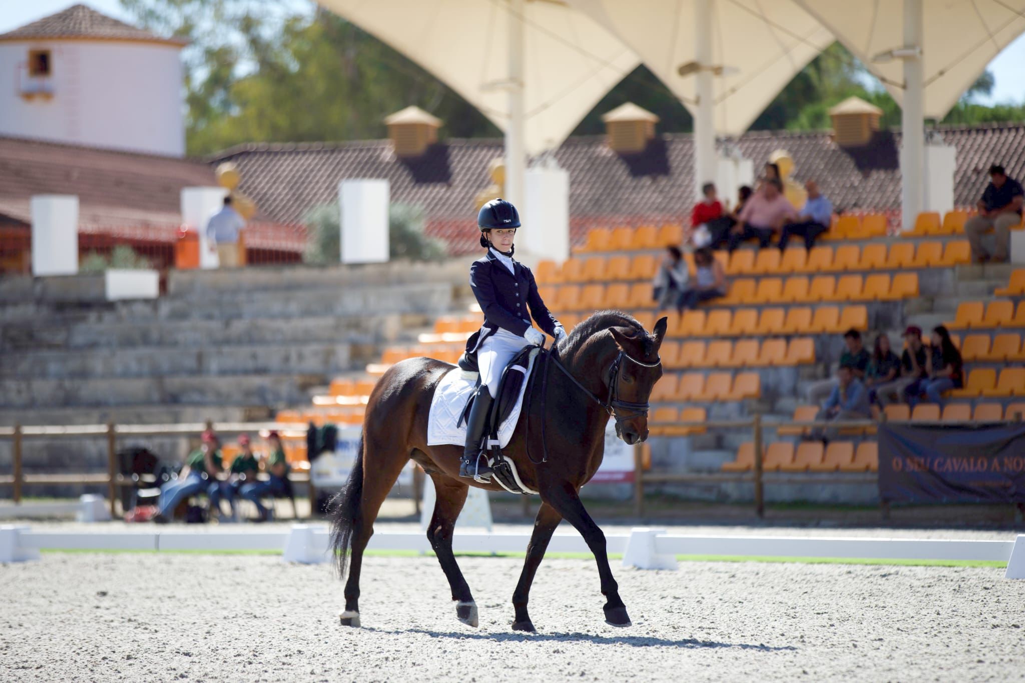 Equitação: Brigantina sagra-se campeã nacional de Dressage em juvenis
