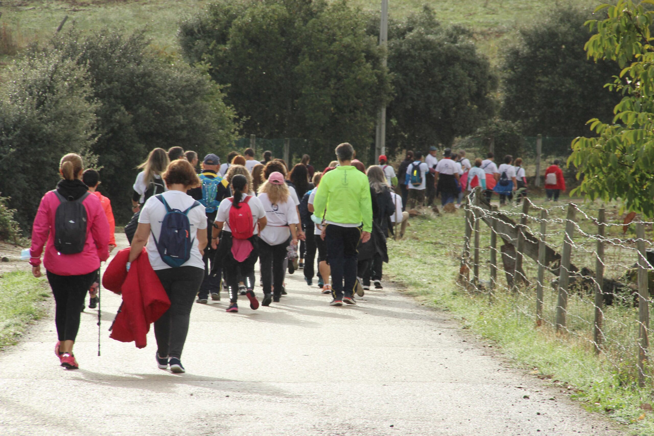 Caminhada solidária angariou fundos para delegação de Bragança da Liga Portuguesa Contra o Cancro