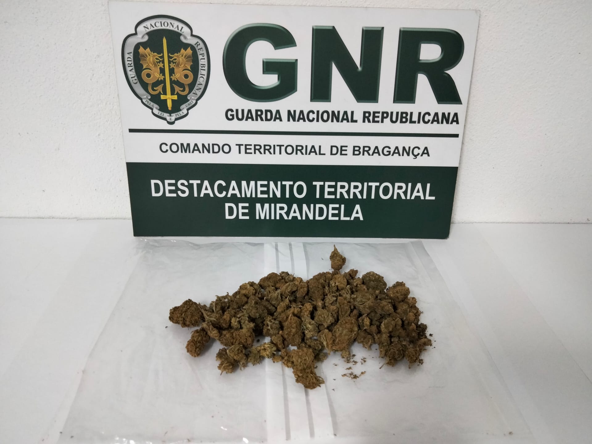 Dois homens detidos em Mirandela por tráfico de droga e condução sob efeito de álcool