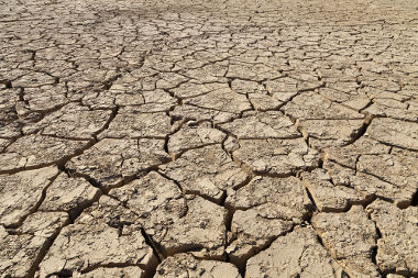DECO apela municípios a envolver cidadãos nos planos de adaptação às alterações climáticas