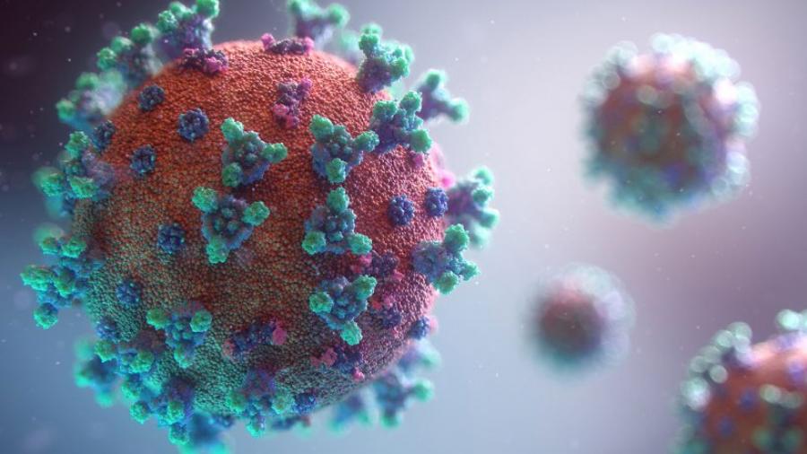 Câmaras do distrito gastaram 4,6 milhões de euros com medidas de resposta à pandemia