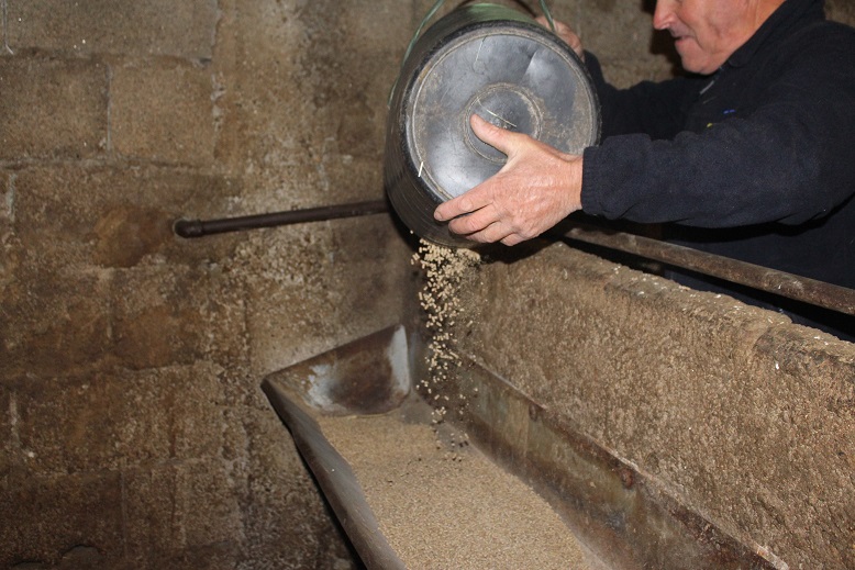 Pequenos agricultores queixam-se do preço dos produtos para a agricultura e dizem diminuir produções