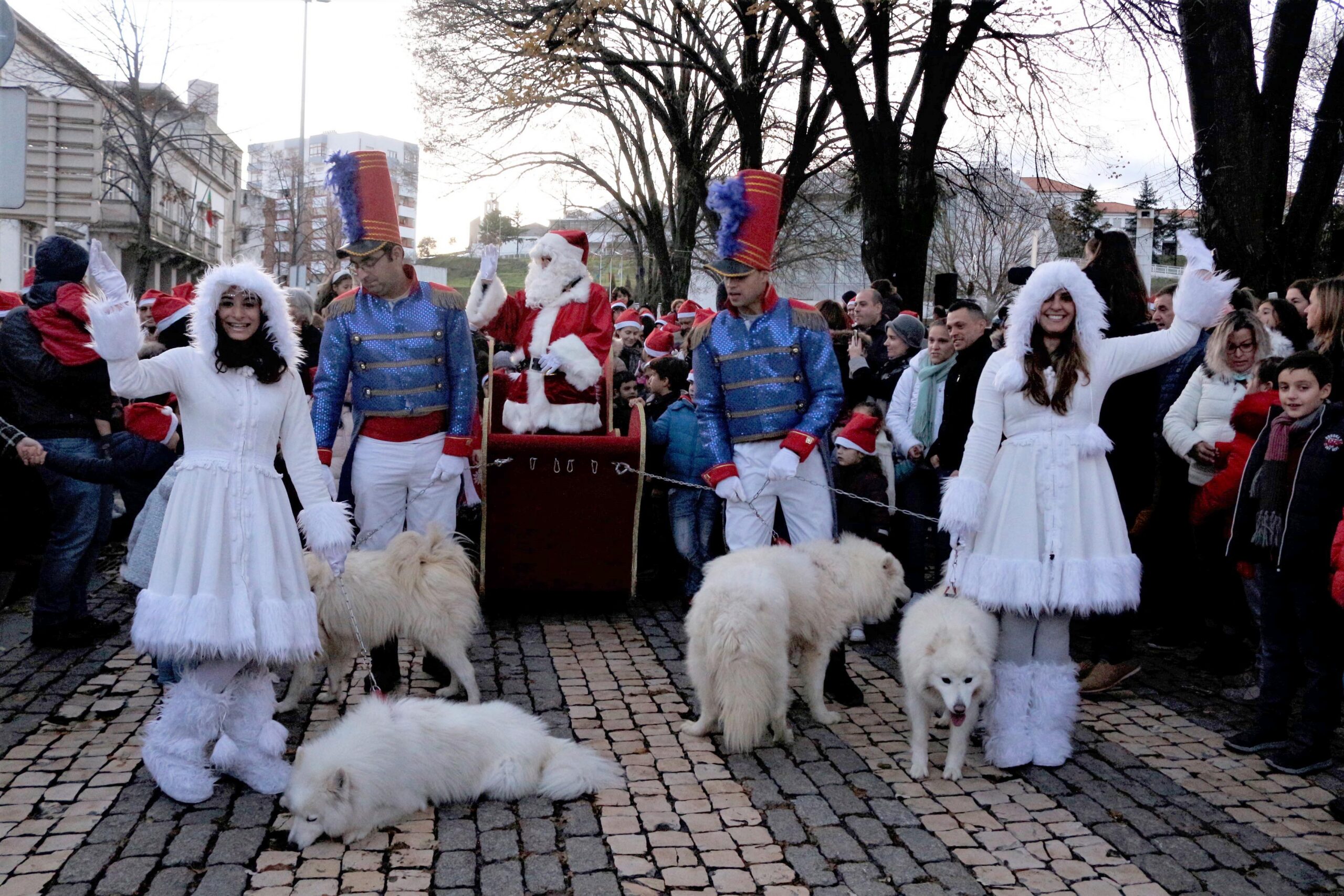 Câmara de Bragança cancela parte das actividades da Terra Natal e de Sonhos e da Mascararte