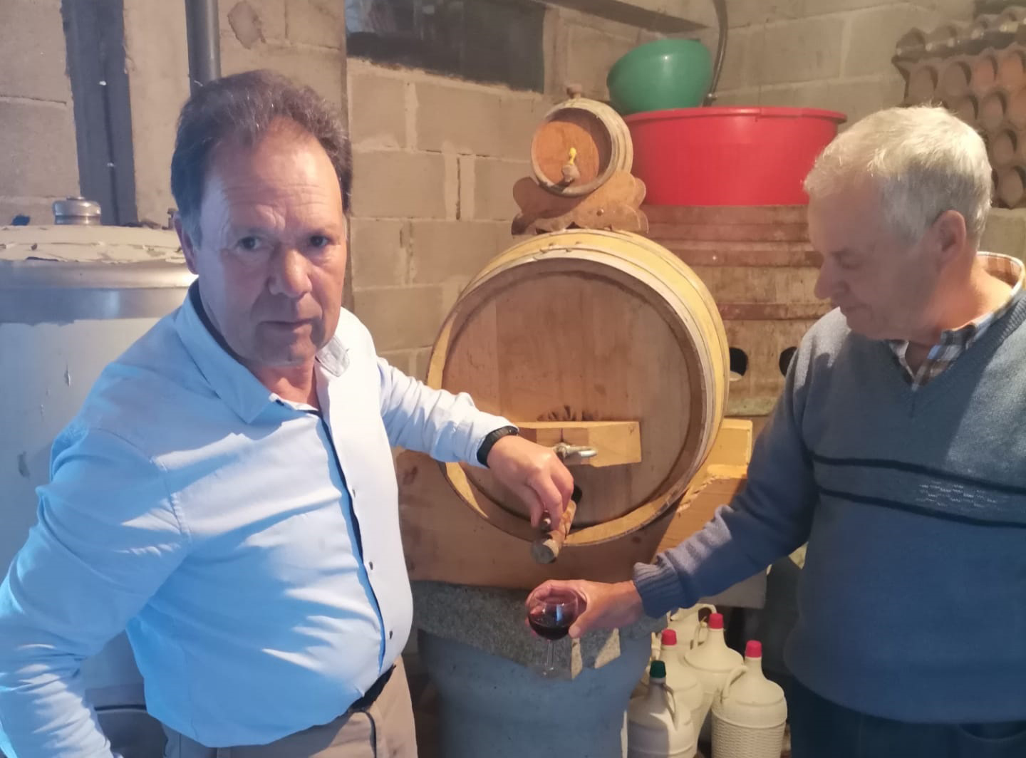 No dia de São Martinho abre-se o pipo e prova-se o vinho