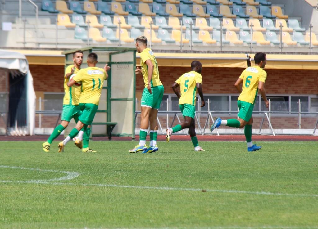 Futebol: Pedro Palhau vai estrear-se como técnico interino frente ao USC Paredes