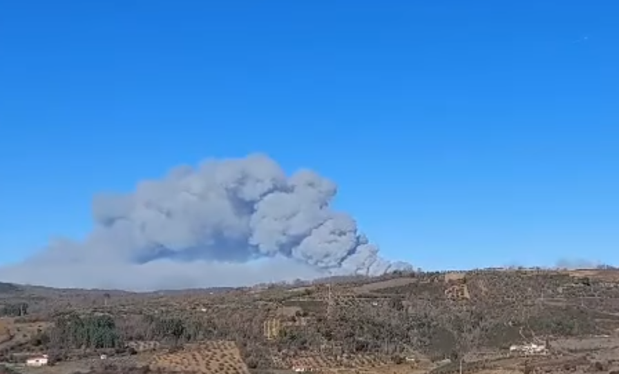 Incêndio no Parque Natural de Montesinho combatido dos dois lados da fronteira