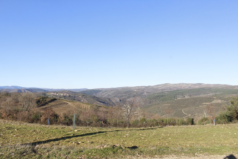 Prédios rústicos já podem ser registados gratuitamente em Bragança