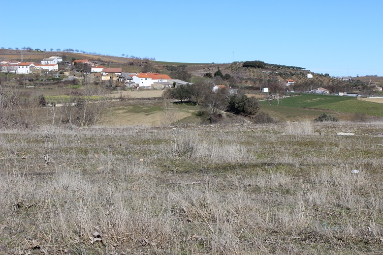 Seca está a prejudicar pecuária e agricultura na região