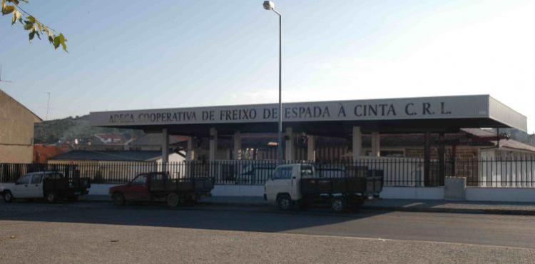 Adega Cooperativa de Freixo investe em nova unidade vinícola e alarga produção no Douro Superior