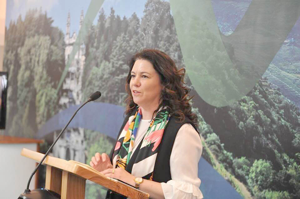 Guerra põe Portugal à procura de novos mercados para garantir cereais para os animais