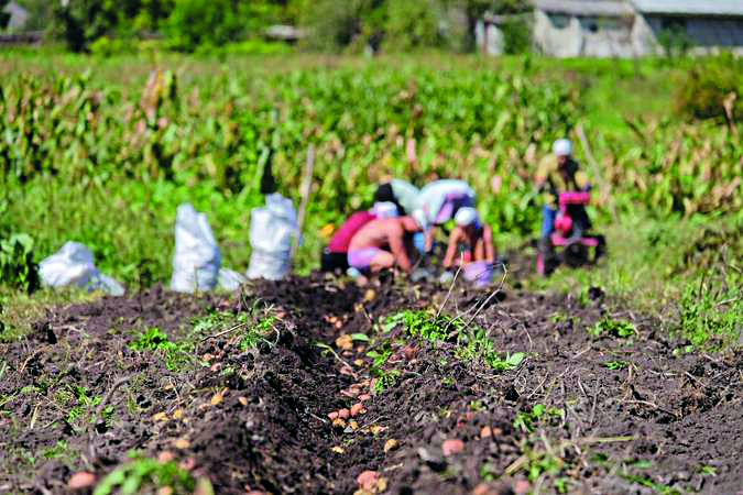 Agricultores dizem que medidas do Governo para diminuir custos de produção são insuficientes