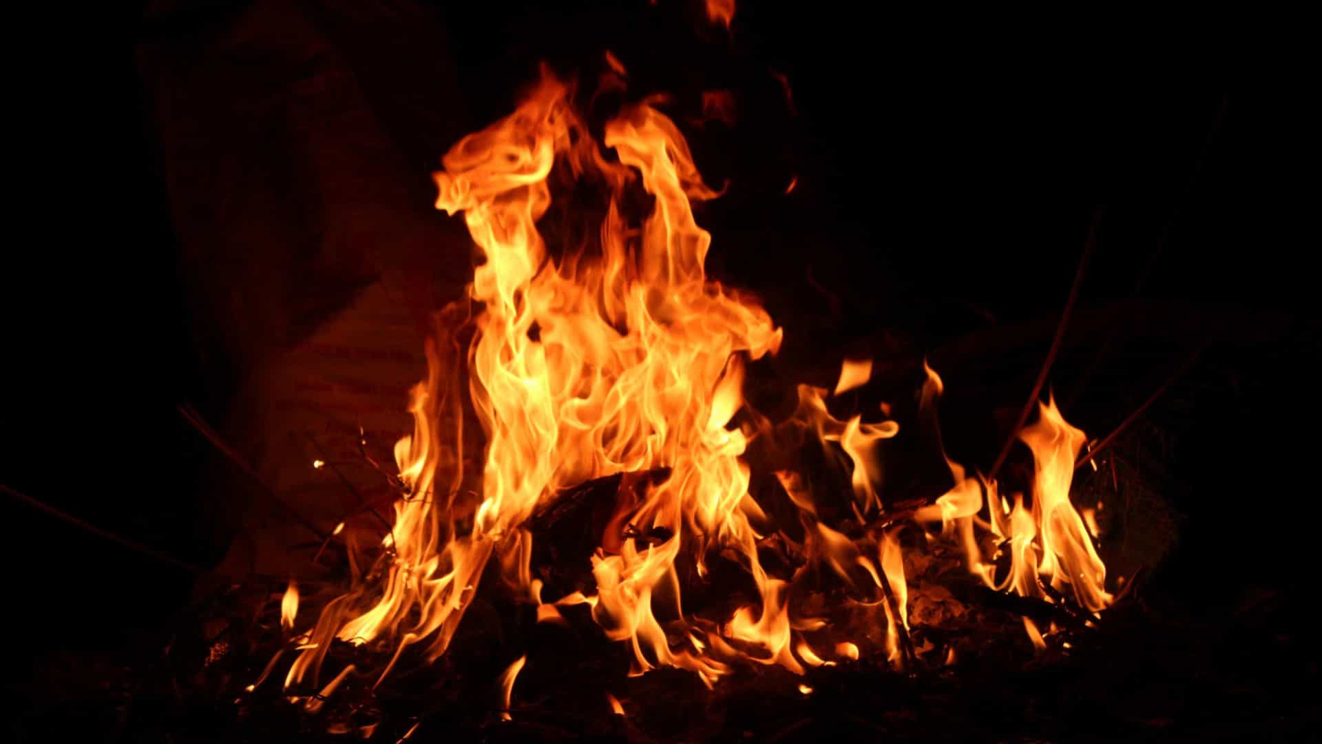 Dois homens constituídos arguidos por incêndio florestal no concelho de Mirandela