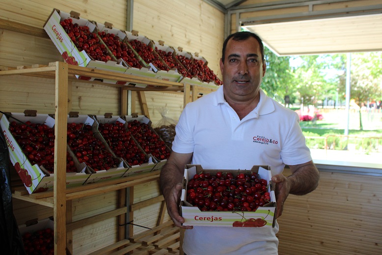 Festa da Cereja&Co arrancou sem praticamente fruto para vender