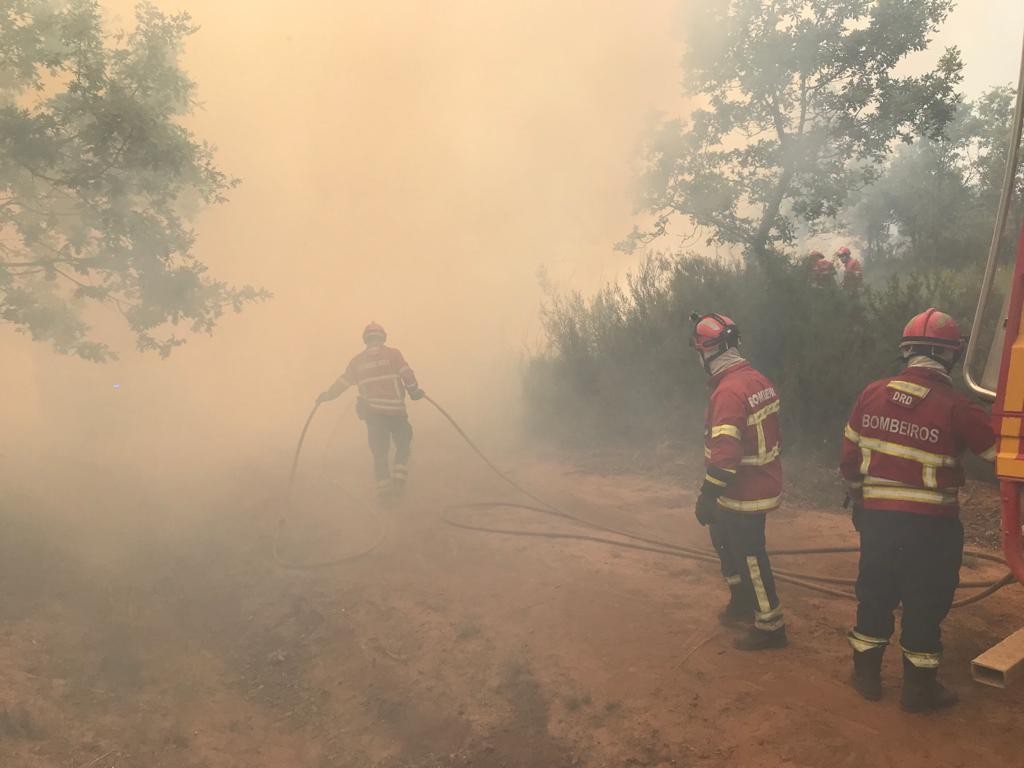 Incêndio em Zamora continua activo mas está controlado