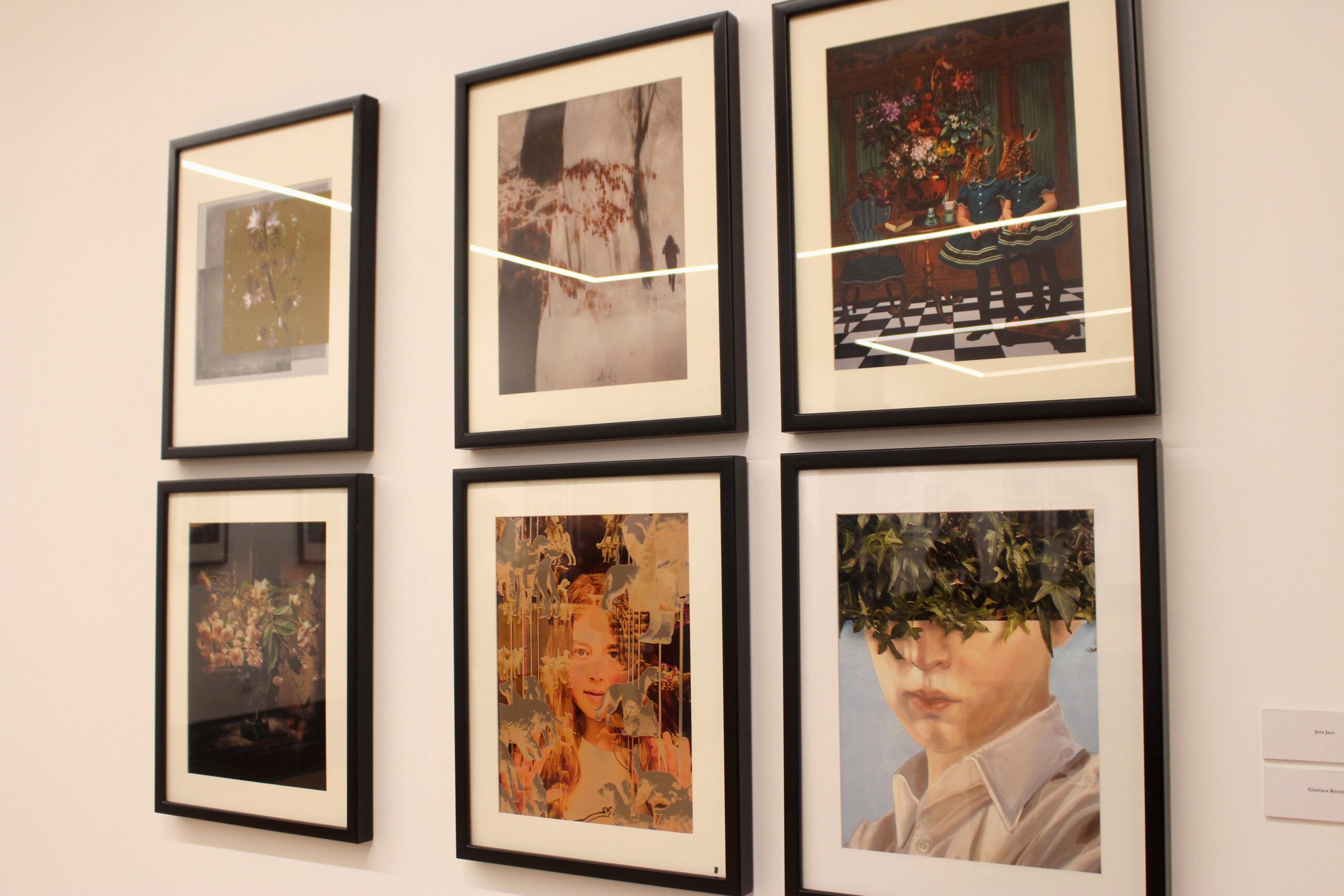 Melhores fotografias tiradas com telemóvel expostas no Centro Georges Dussaud em Bragança