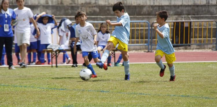Futebol: “Crescer Jogando” começa amanhã com mais de mil jovens jogadores