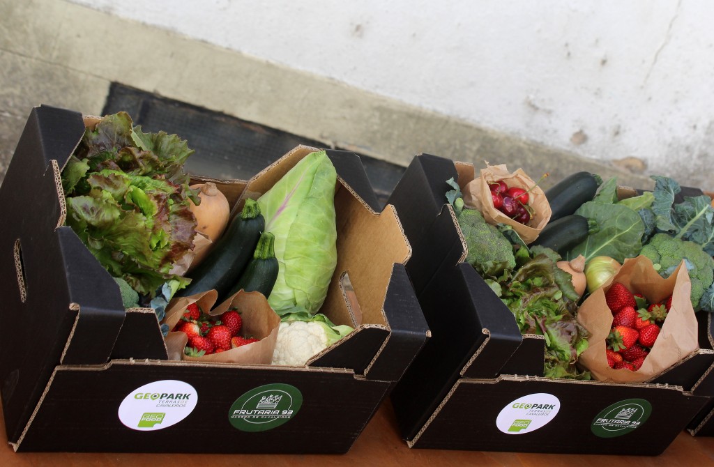 Projecto “Cabazes 100% GEOfood” pretendem ajudar produtores locais de Macedo de Cavaleiros