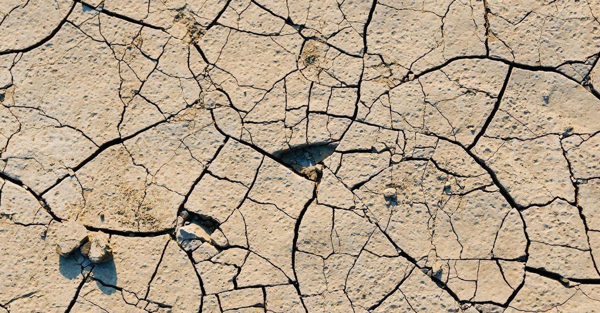 Observatório Nacional da Desertificação lançado em Mogadouro