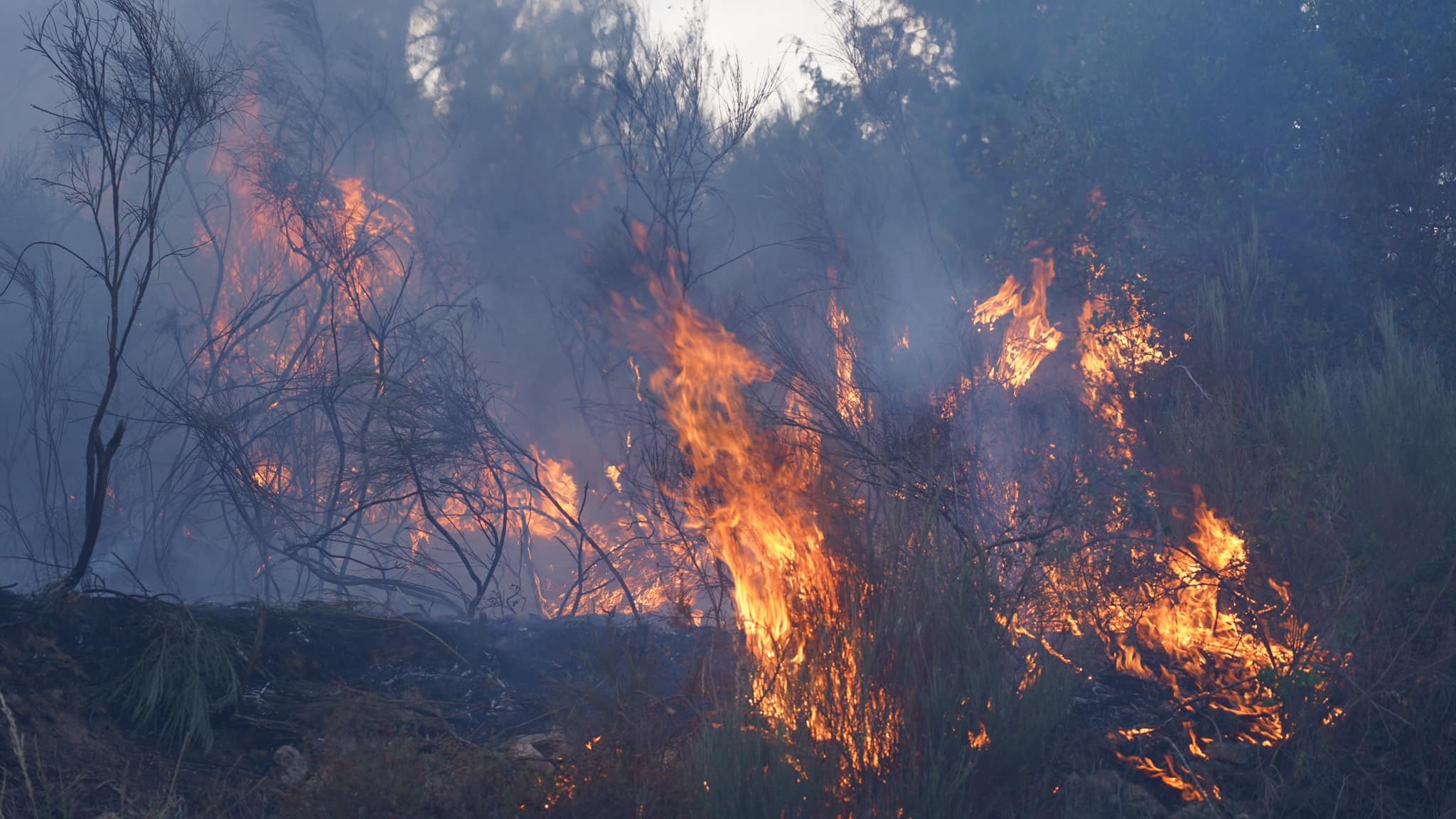 Incêndio em São Pedro Velho já entrou em fase de resolução