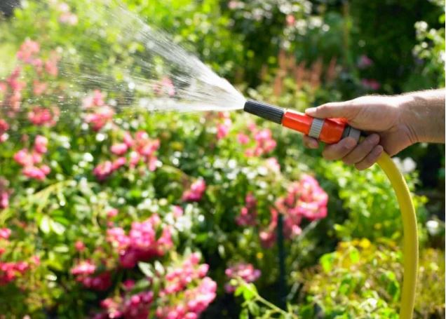 Município de Vimioso restringe uso de água de rede