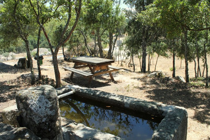 Parque de Campismo de Vila Flor encerrado por perigo de queda de árvores