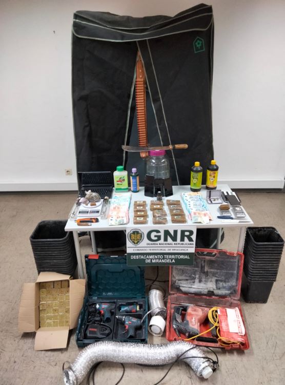 Dois jovens, de 21 e 25 anos, foram detidos, por tráfico de droga, no concelho de Vila Flor