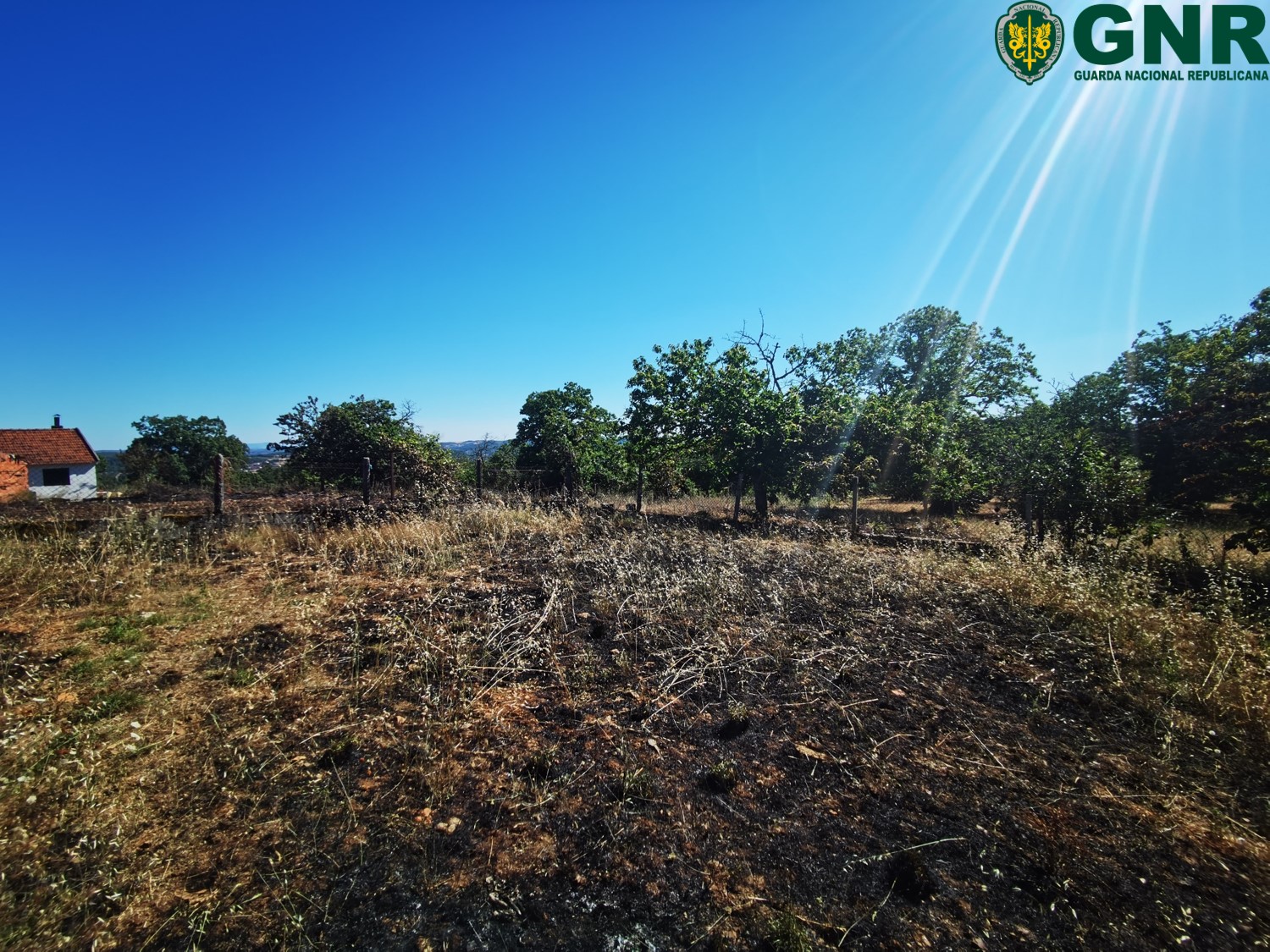 Duas mulheres arguidas por incêndio florestal em Tuizelo concelho de Vinhais