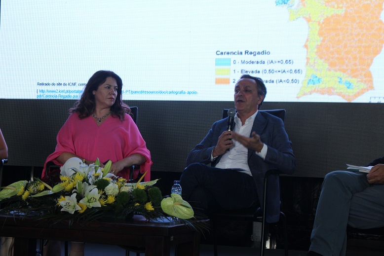 Região é prioridade para investimentos que ajudem a combater a seca e a falta de água