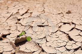 Seca pode levar ao corte de água em alguns concelhos de Trás-os-Montes durante a noite