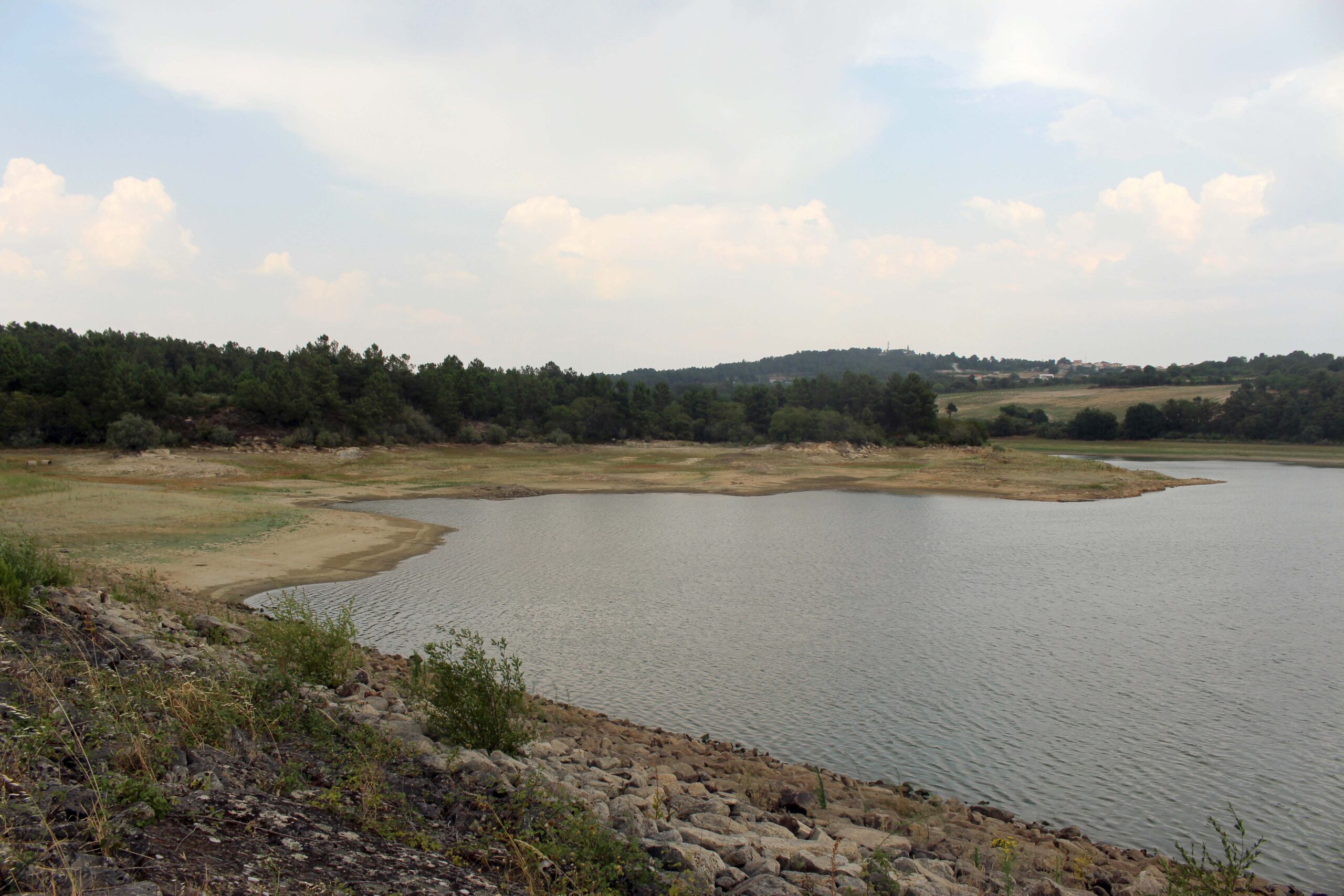 Falta de água deixa agricultores da região em situação dramática
