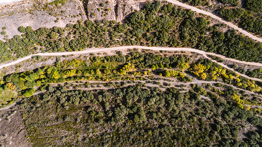 Palombar lança aplicação para conhecer a Rede Natura