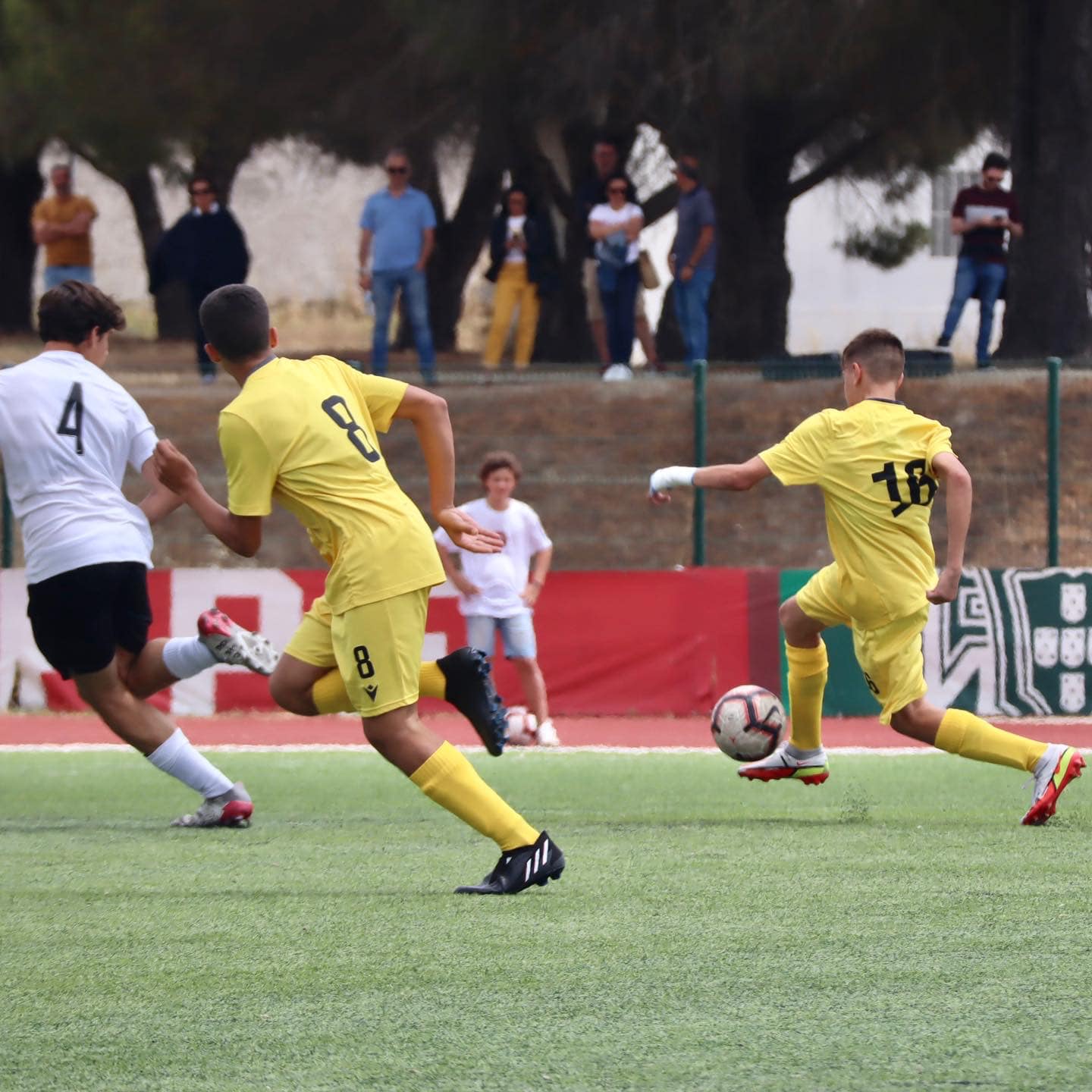 A.F. Bragança vai mexer nos quadros competitivos dos campeonatos de formação