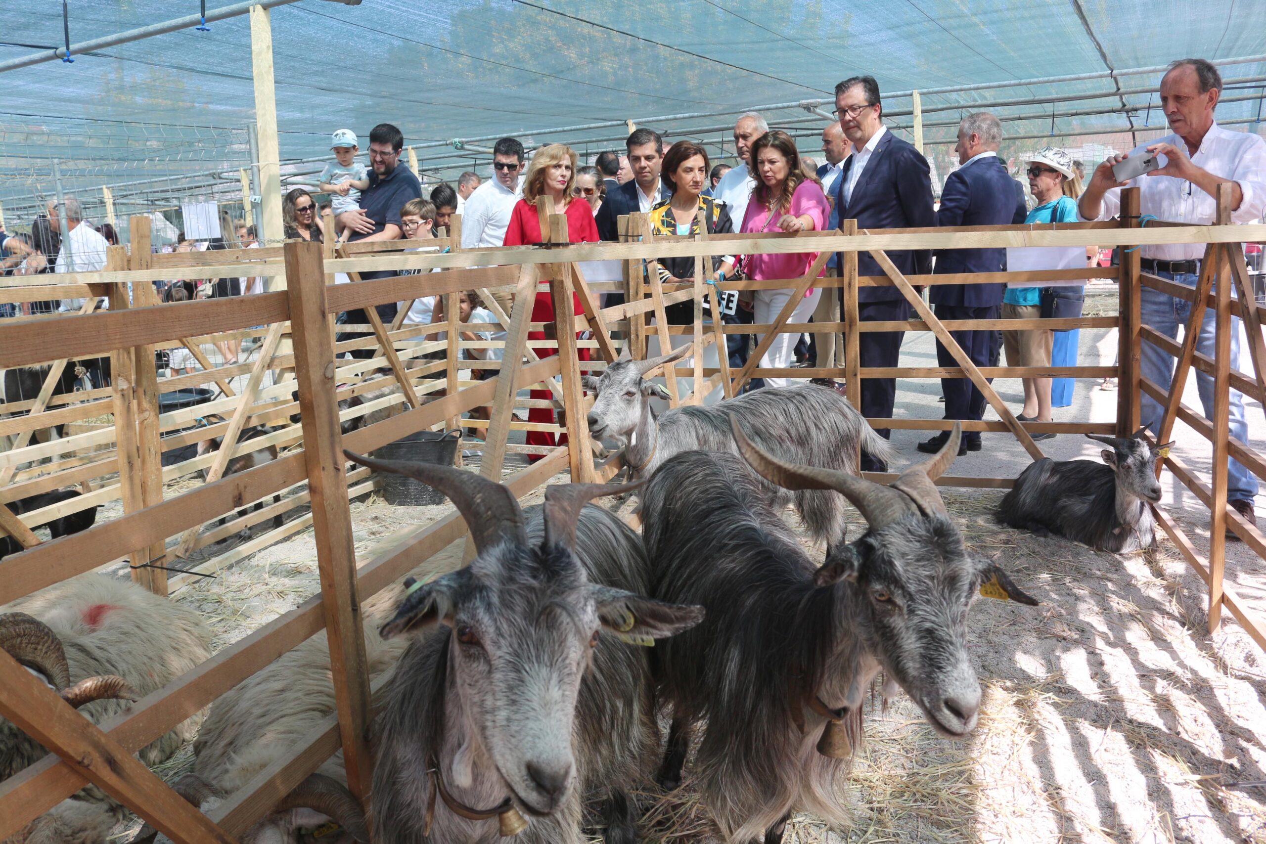 Ministra da Agricultura anuncia apoios para fazer face aos efeitos da seca e incêndios