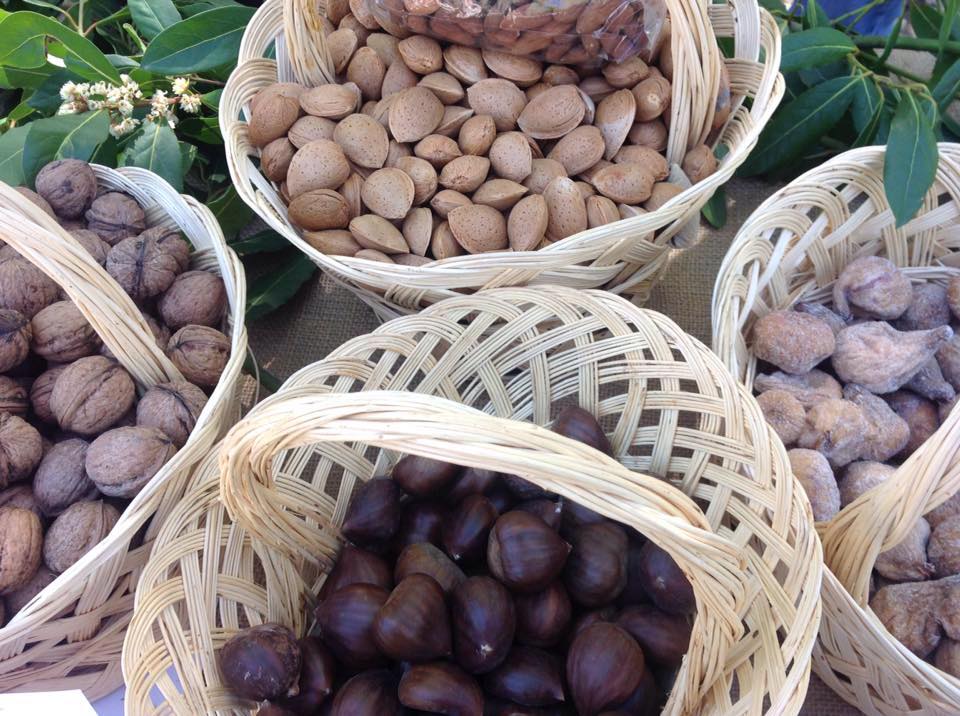 Municípios do Norte reivindicam mais dinheiro para os Grupos de Acção Local