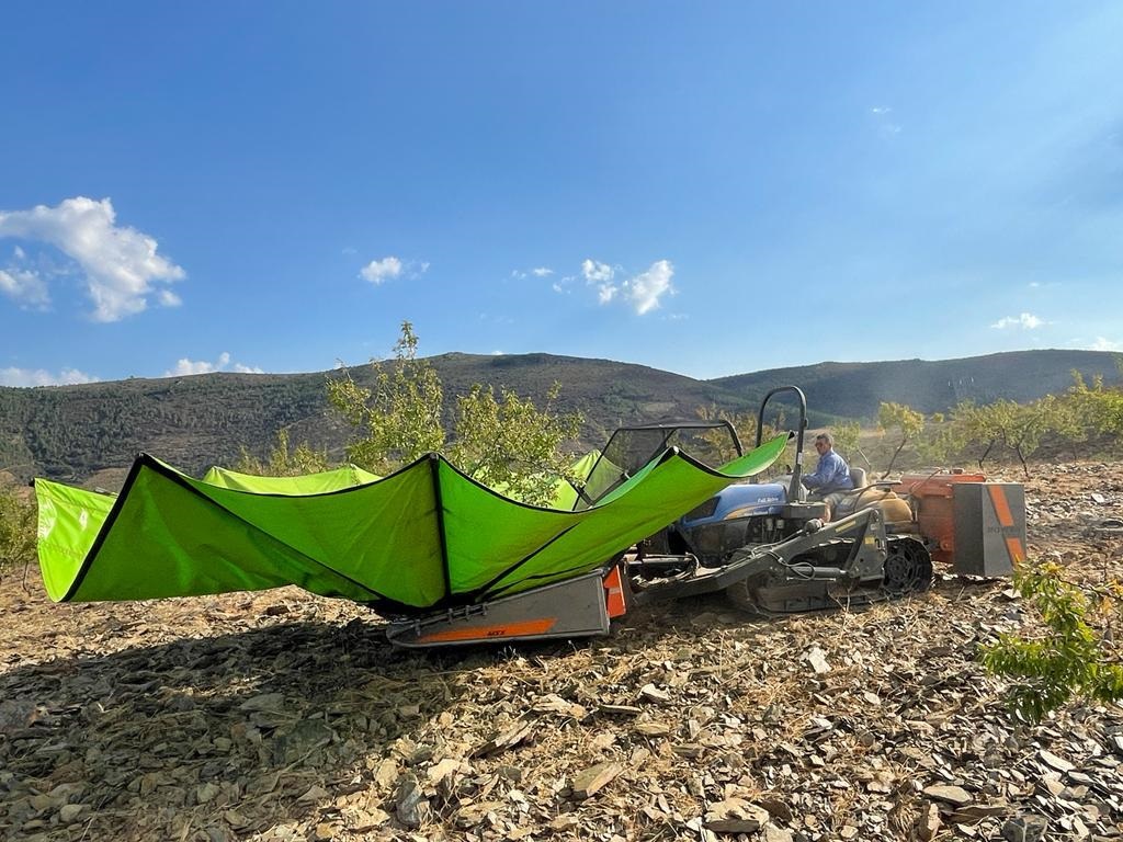 Produção de amêndoa cai para metade devido à falta de água