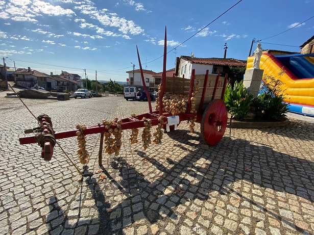 Uma tonelada de cebolas vendidas na Feira de São Pedro de Sarracenos