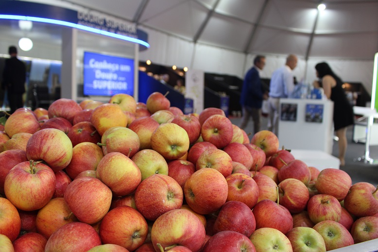 Feira da Maçã, do Vinho e do Azeite aconteceu em Carrazeda de Ansiães mas produtores falam de quebras significativas
