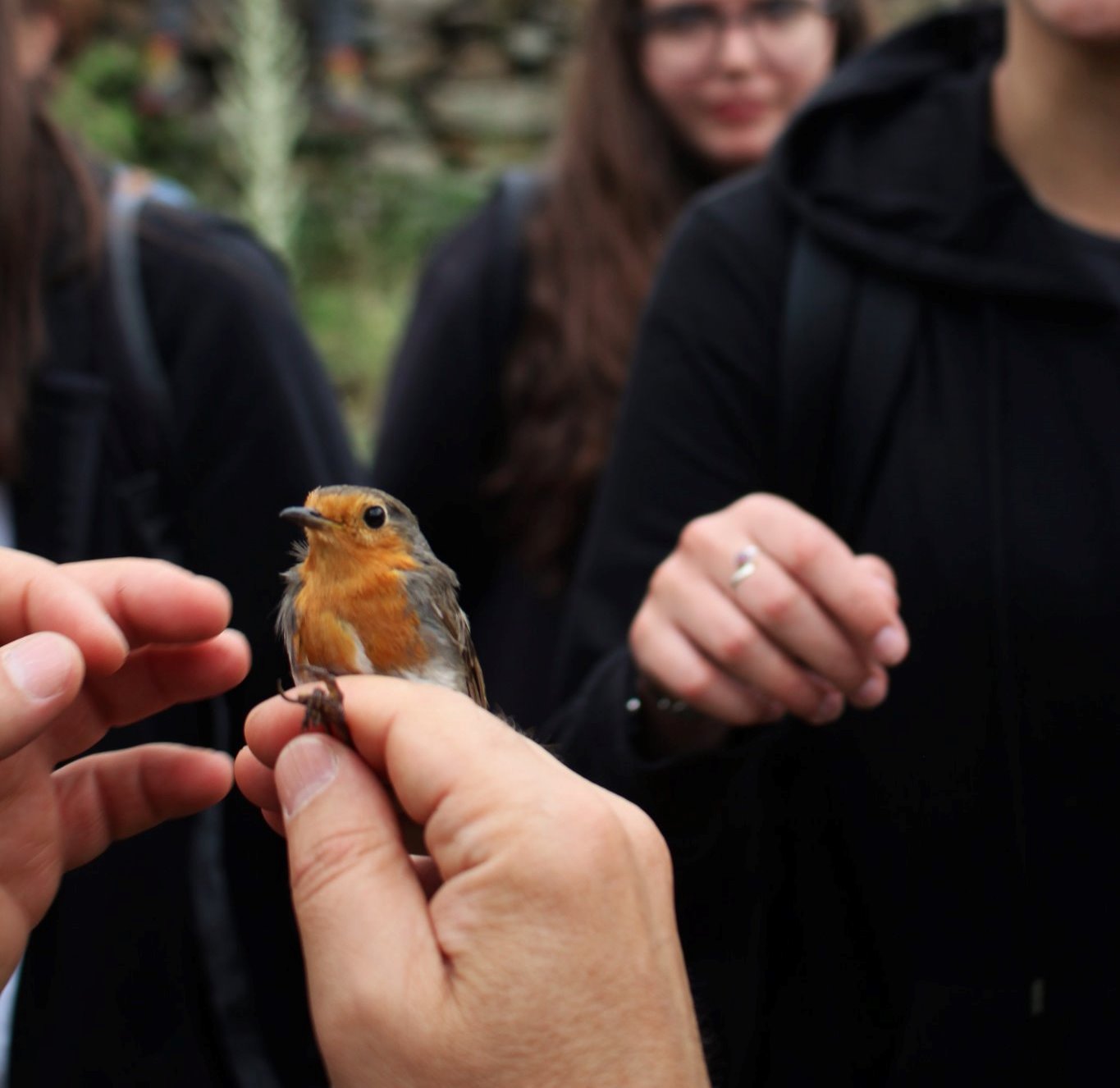 Associação ALDEIA com sede em Vimioso perto de comemorar 20 anos