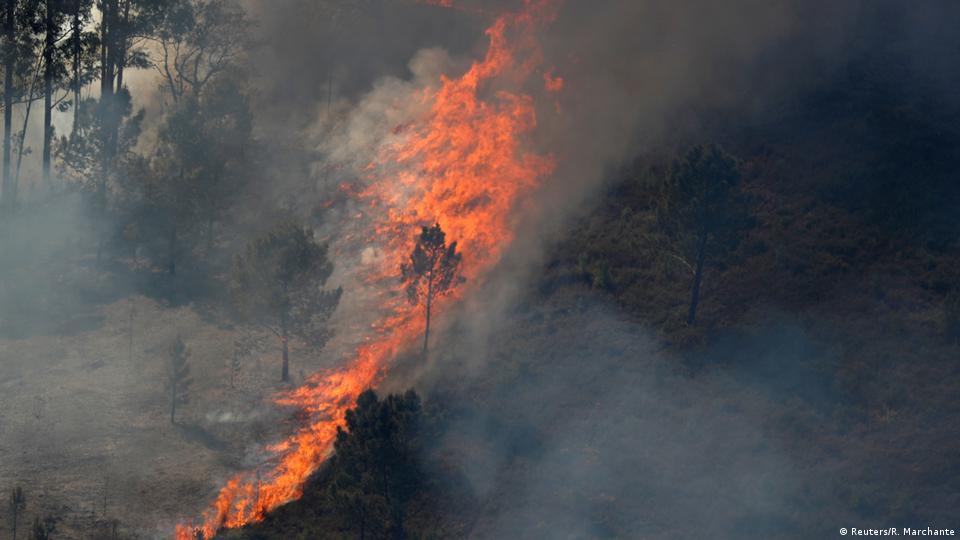 Cerca de 100 operacionais e quatro meios aéreos combatem incêndio em Mogadouro