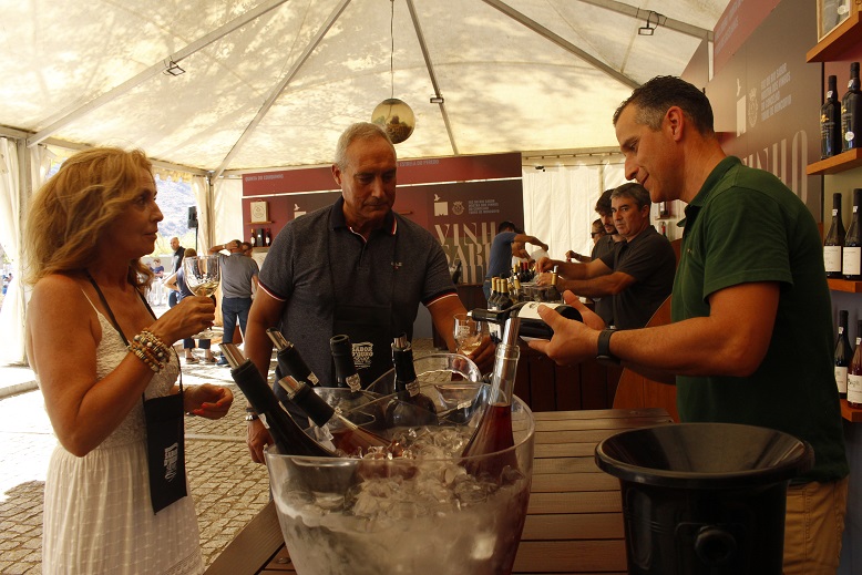 Produtores de Vinho de Moncorvo queixam-se de quebras de produção mas perspectivam boa qualidade