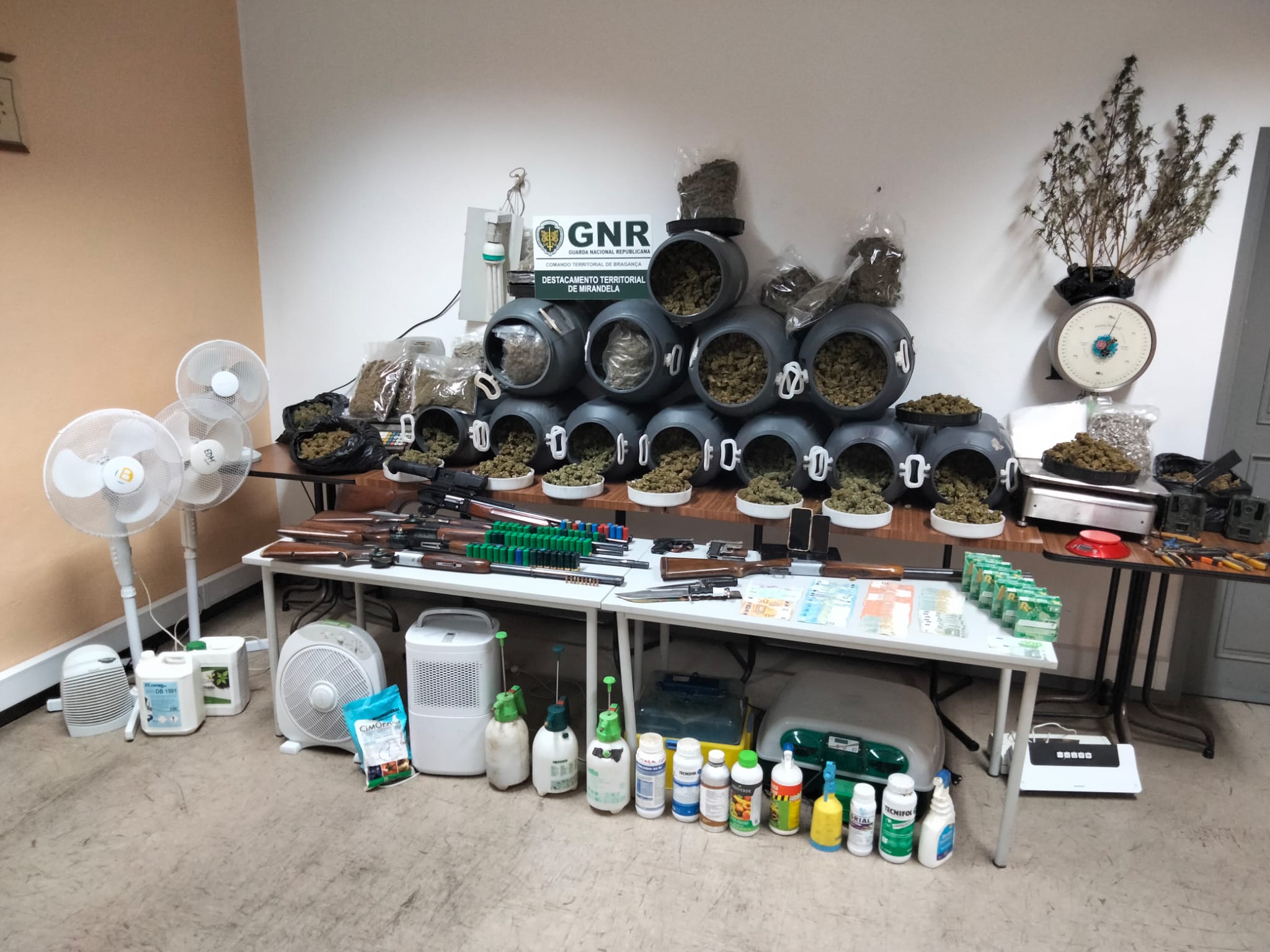 27 quilos de cannabis apreendidos aos três homens detidos pela GNR de Mirandela