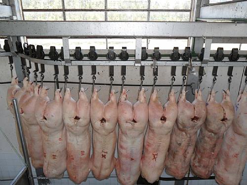 Já foram adquiridos dois terrenos em Sendim para a construção do matadouro que vai custar 4 milhões de euros