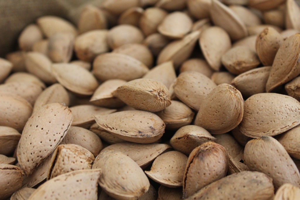 A quebra na produção de amêndoa em Trás-os-Montes está a ser superior a 50%