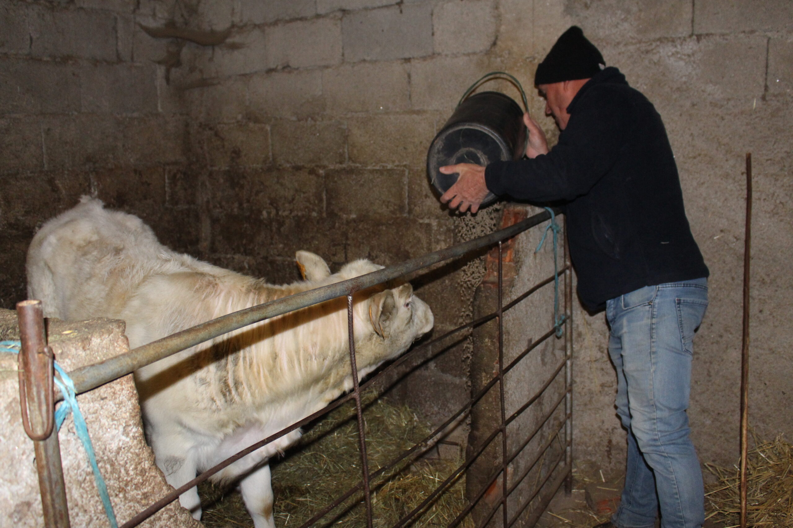 Governo quer que distrito retome produção de cereais mas agricultores pedem apoios