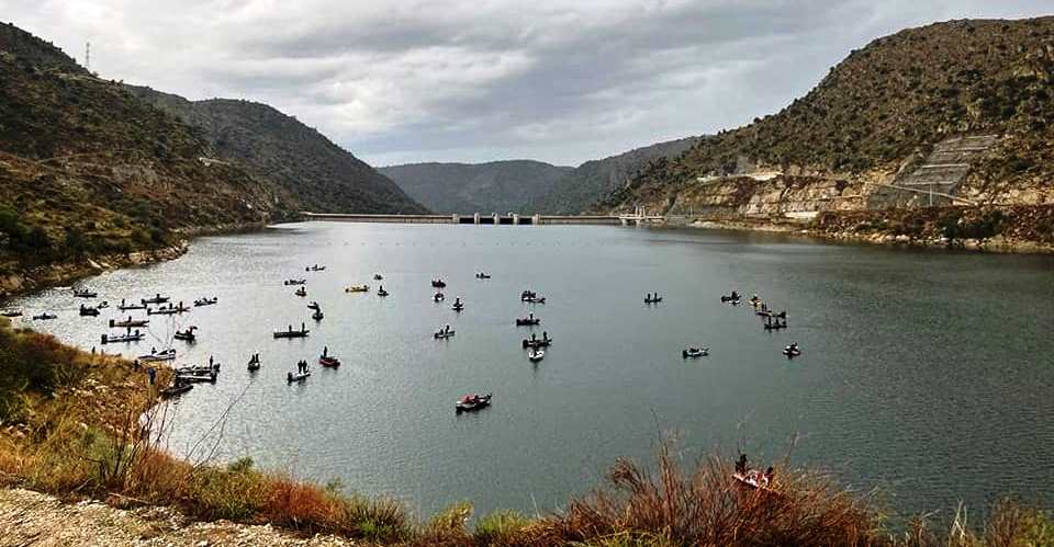 Pesca Desportiva: Moncorvo recebe até sábado o Campeonato do Mundo de Pesca em Caiaque