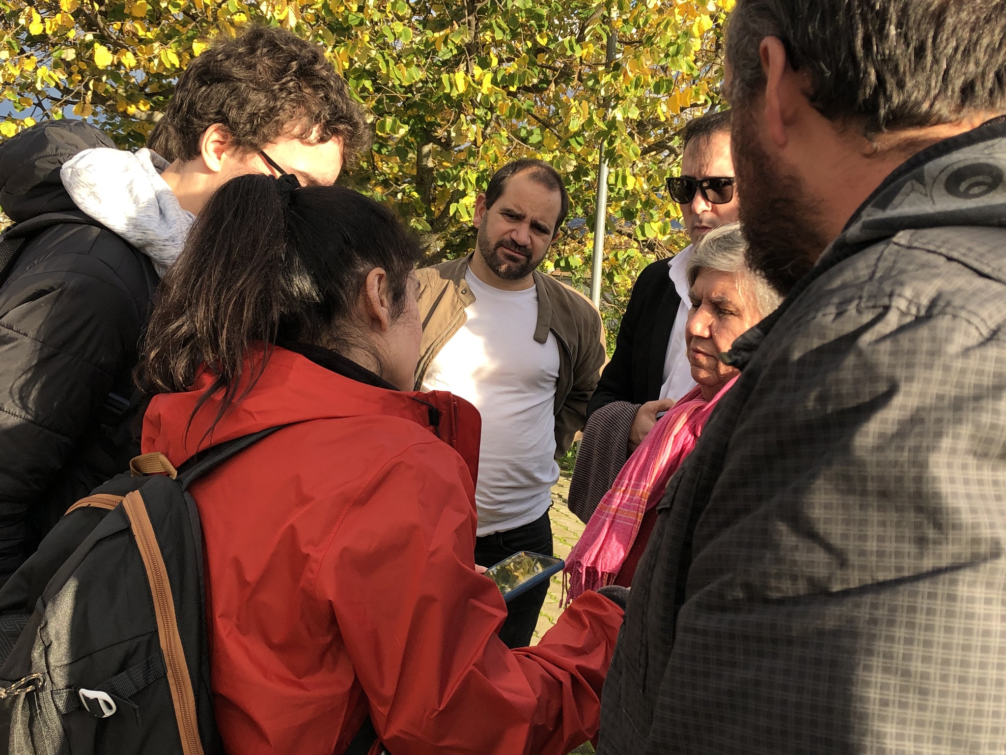 BE vai pedir à Comissão Europeia o cancelamento da construção do parque eólico de Mirandela