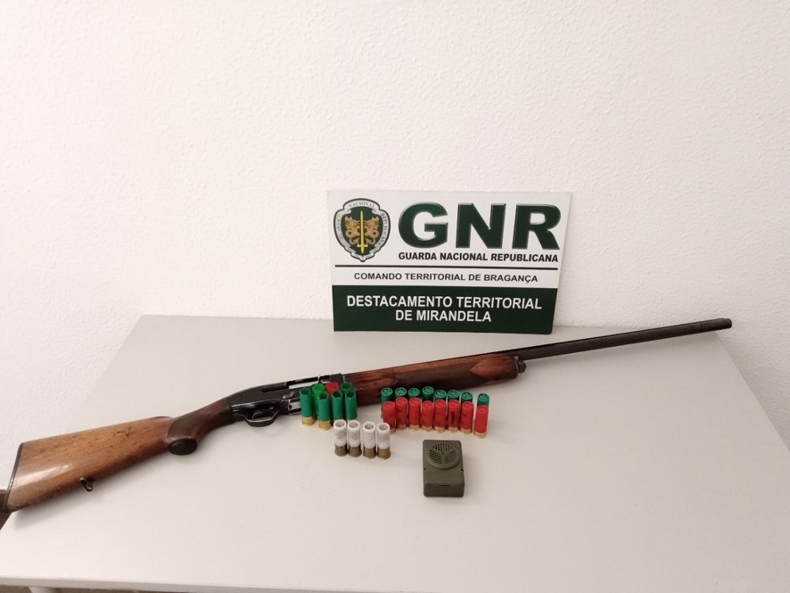 Detido por caçar com meios não permitidos em Mirandela