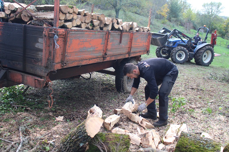 Lenha volta a ser opção para muitas famílias se aquecerem este Inverno